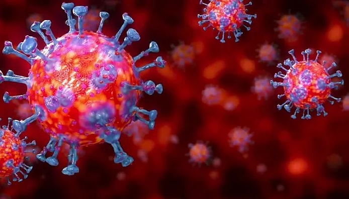 mutasi_virus_corona