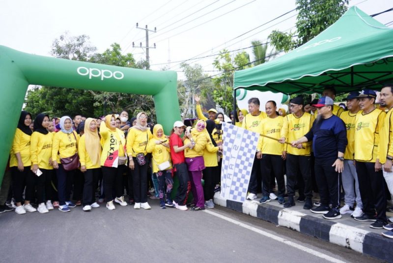 DSC0502-1536x1027