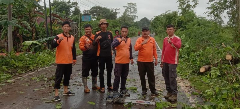 5bc48e6f-fba7-4fba-8d92-44a72a3b0184