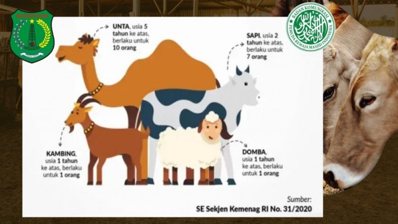 Cokelat-Krem-Sederhana-Momen-Haru-Penyembelihan-Kurban-Youtube-Thumbnail_20250802_064547_0000